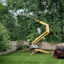 Best Hazardous Tree Removal  in Highlands, NJ