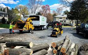 Best Emergency Tree Removal  in Highlands, NJ