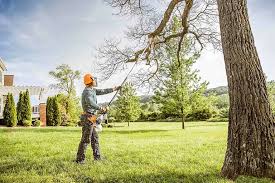 Best Lawn Watering Services  in Highlands, NJ