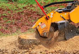 Best Grass Overseeding  in Highlands, NJ