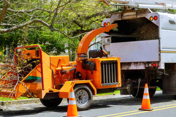 Best Fruit Tree Pruning  in Highlands, NJ