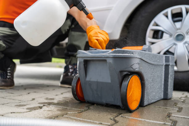 Best Tree Maintenance Programs  in Highlands, NJ